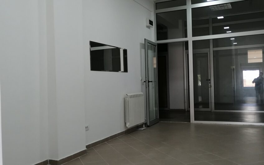Lokal u Vojvode Stepe, 25m2