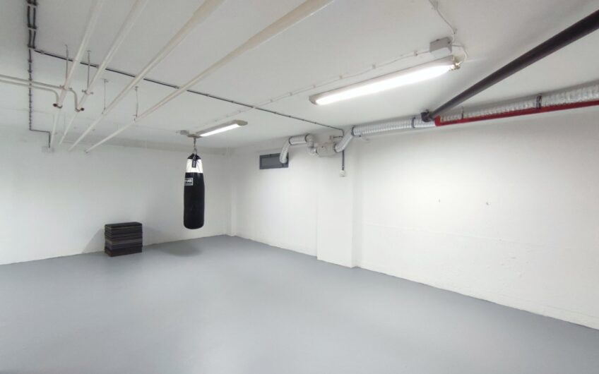 Bežanijska kosa, kuća, za PP, PO+PR+1, 200m2