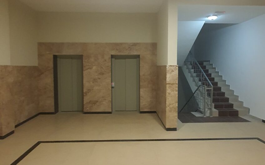 Hala Pionir, novogradnja, 50m2, 2.0, useljiv