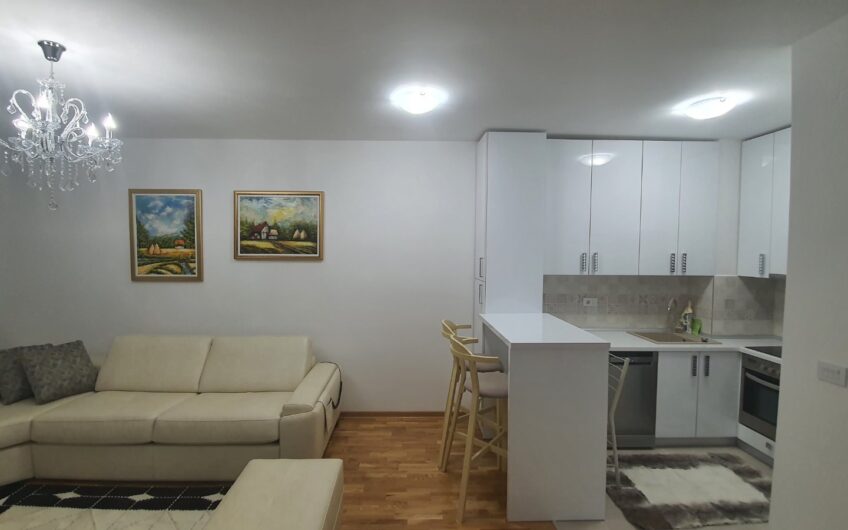 Hala Pionir, novogradnja, 50m2, 2.0, useljiv